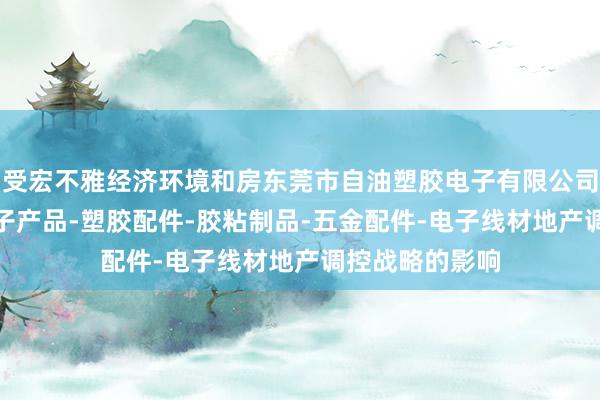 受宏不雅经济环境和房东莞市自油塑胶电子有限公司-包装材料-电子产品-塑胶配件-胶粘制品-五金配件-电子线材地产调控战略的影响